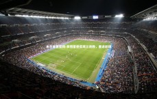 米兰体育官网-多特蒙德实现三连胜，重返前四