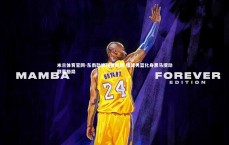 米兰体育官网-东南劲旅强势崛起 福建男篮化身黑马搅动联赛格局