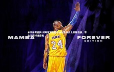 米兰体育官网-博斯克赞誉齐达内为皇马史上关键引援，菲戈深受球迷爱戴